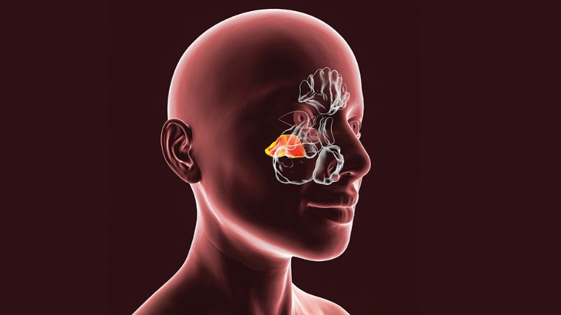 U xơ vòm mũi họng là khối u lành tính thường nằm ở vùng cửa mũi sau U xơ vòm mũi họng là khối u lành tính thường nằm ở vùng cửa mũi sau