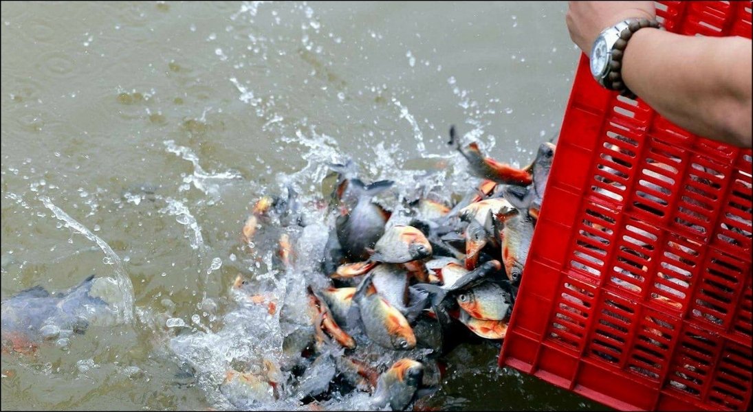 Bạn hoàn toàn có thể cầm điện thoại để xem bài khấn, miễn là giữ tâm thế trang nghiêm