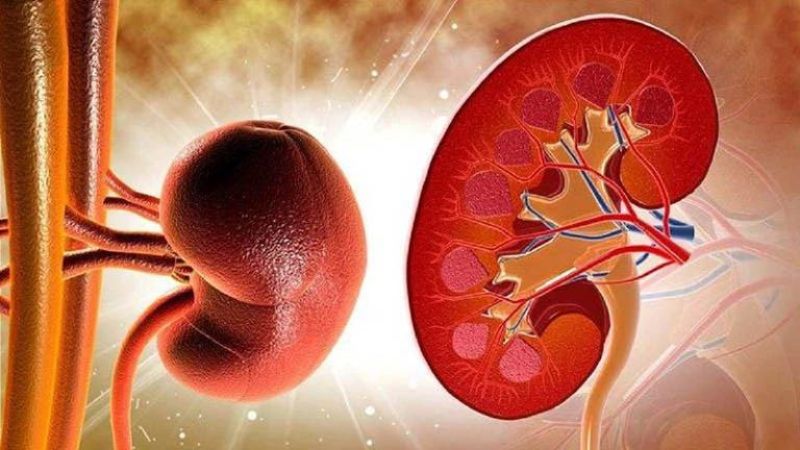 Viêm amidan có thể gây ra biến chứng viêm cầu thận sau nhiễm liên cầu