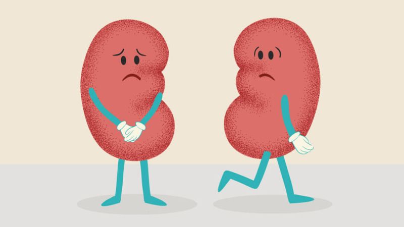 Viêm tụy nếu không được điều trị sẽ có thể gây suy thận