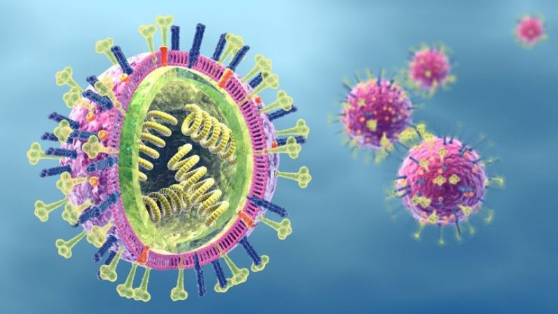 HMPV là loại virus gây nhiễm trùng đường hô hấp thường gặp HMPV là loại virus gây nhiễm trùng đường hô hấp thường gặp