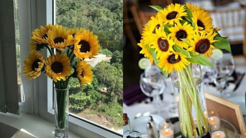 hãy tuốt bỏ hết phần lá ở phía dưới để tránh lá bị ngâm trong nước gây thối