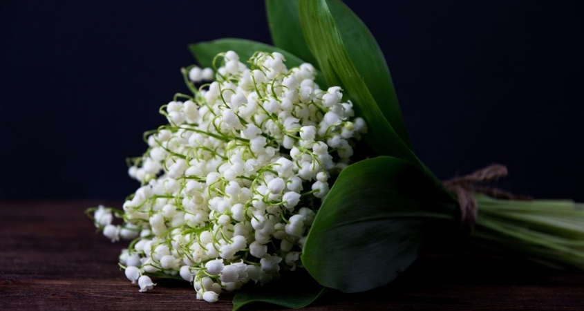 Hoa linh lan thường được chọn làm hoa cưới