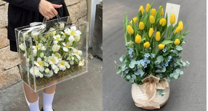 Hoa tulip dùng làm quà tặng, trang trí sự kiện