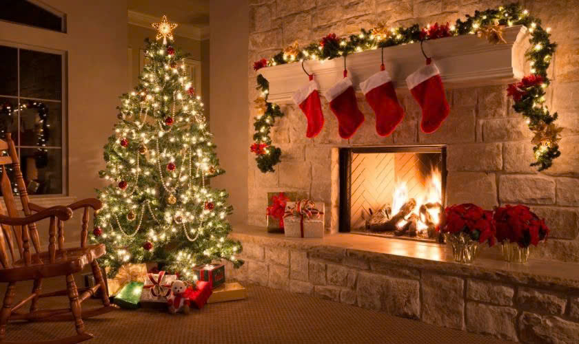 Background Noel cây thông