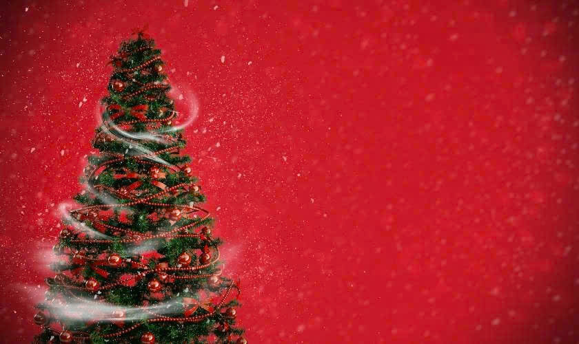 Background Noel cây thông