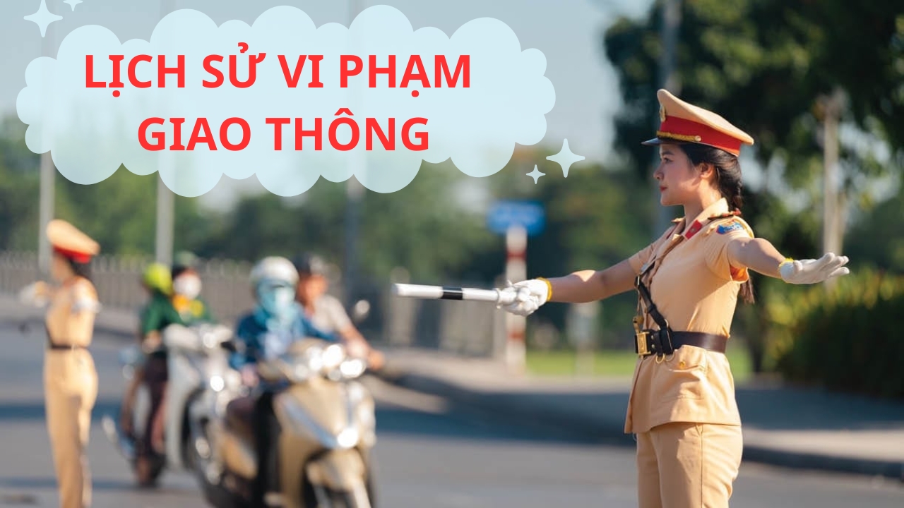 Cách tra cứu lịch sử vi phạm giao thông trên VNeTraffic