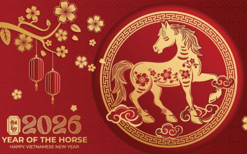 H&igrave;nh nền 2026 ch&uacute; ngựa b&ecirc;n cạnh c&agrave;nh mai