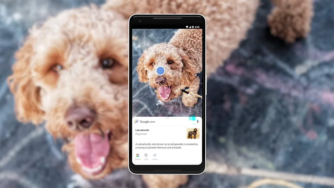 Cách sử dụng Google Lens trên điện thoại và máy tính