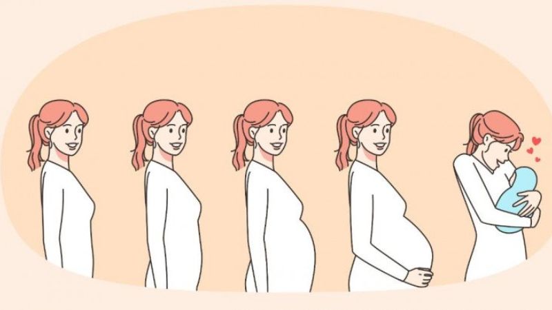 Mỗi giai đoạn mang thai có những đặc điểm cần chú ý riêng