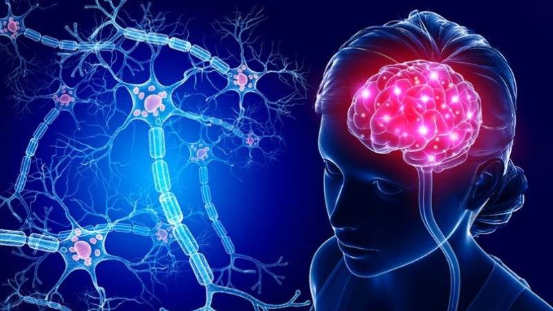 Tình trạng mất nước nhẹ ảnh hưởng đến tâm trạng, trí nhớ và khả năng tập trung