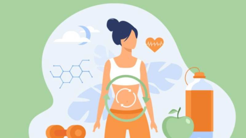 Khi bị mất nước, quá trình trao đổi chất và mức năng lượng trong cơ thể sẽ chậm lại