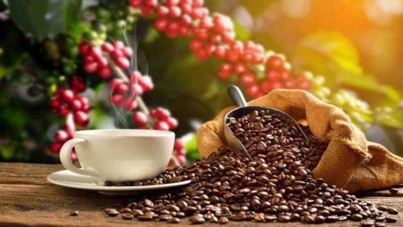 Sử dụng một lượng nhỏ cà phê giúp giảm đau đầu