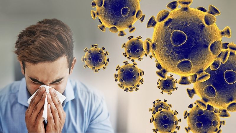 Cảm cúm thường do virus cúm gây nên Cảm cúm thường do virus cúm gây nên