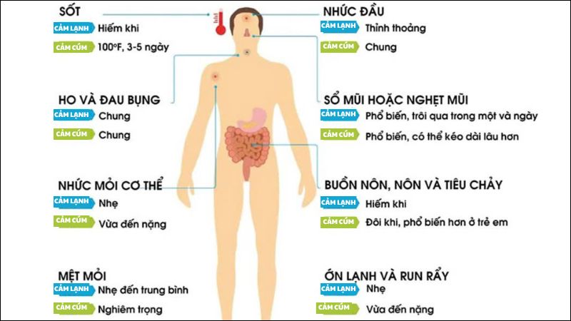Cảm lạnh và cảm cúm có thể phân biệt với nhau Cảm lạnh và cảm cúm có thể phân biệt với nhau