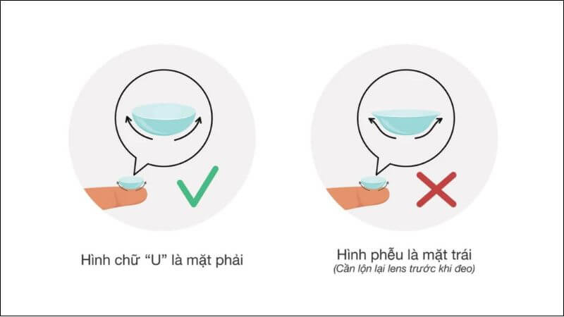 Cách kiểm tra kính áp tròng của bạn đã đúng chiều hay chưa