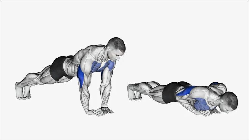 Số lần hít đất mỗi ngày sẽ phụ thuộc vào tình trạng thể lực của bạn 