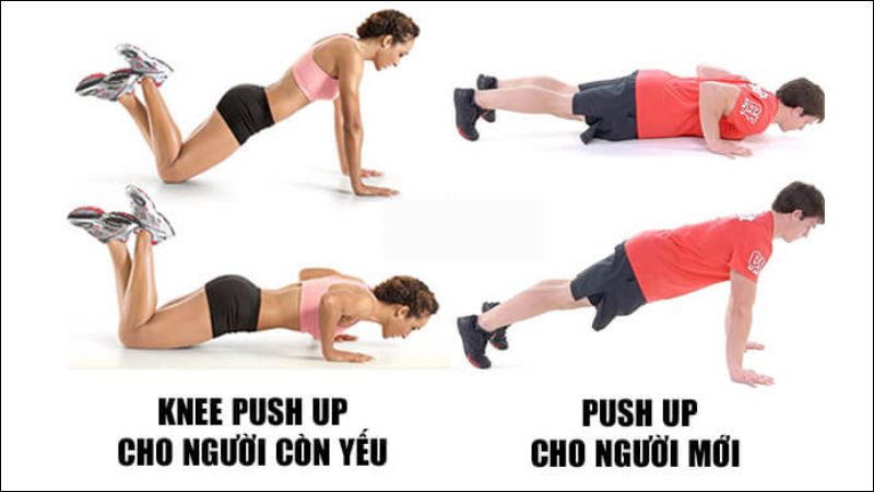 Tư thế chống đẩy quỳ