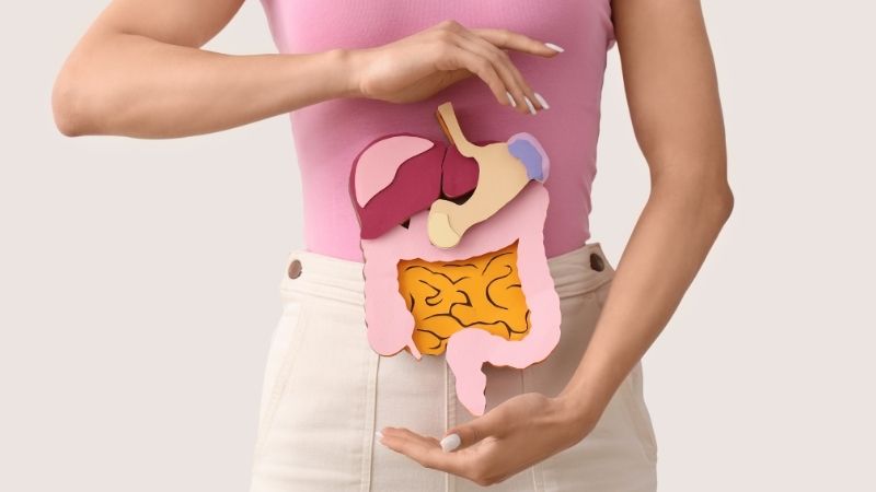 Tinh bột nghệ khi kết hợp với phospholipid giúp tăng cường sức khỏe hệ tiêu hóa