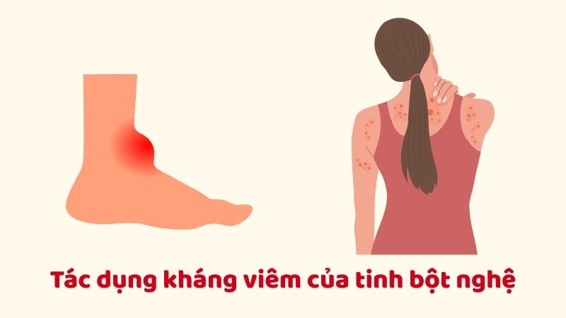 Tinh bột nghệ có hoạt tính kháng viêm nhờ khả năng điều hòa quá trình viêm, ức chế sản xuất chất gây viêm