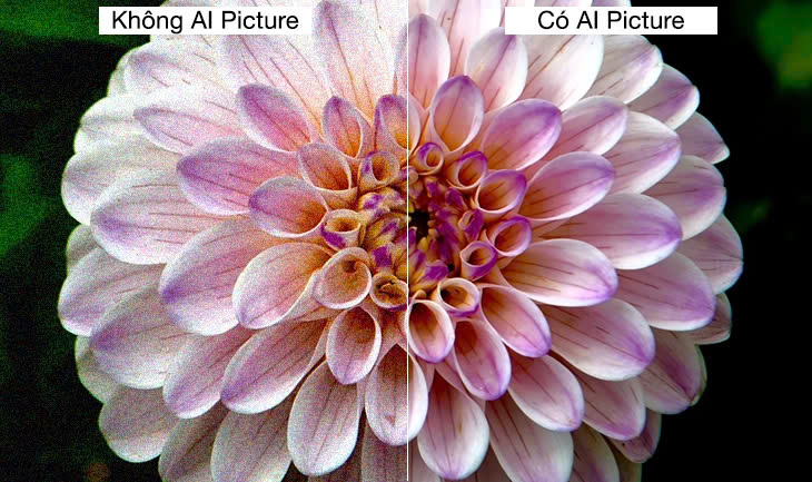 Công nghệ AI Picture Pro trên tivi LG