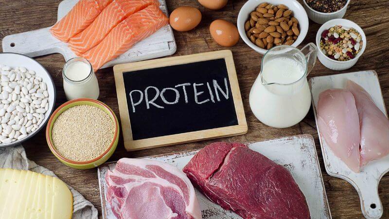 Protein tham gia vào quá trình đốt cháy lượng chất béo dư thừa của cơ thể