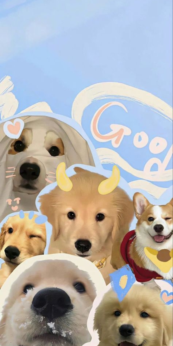 Hình nền thú cưng đáng yêu cho iPhone