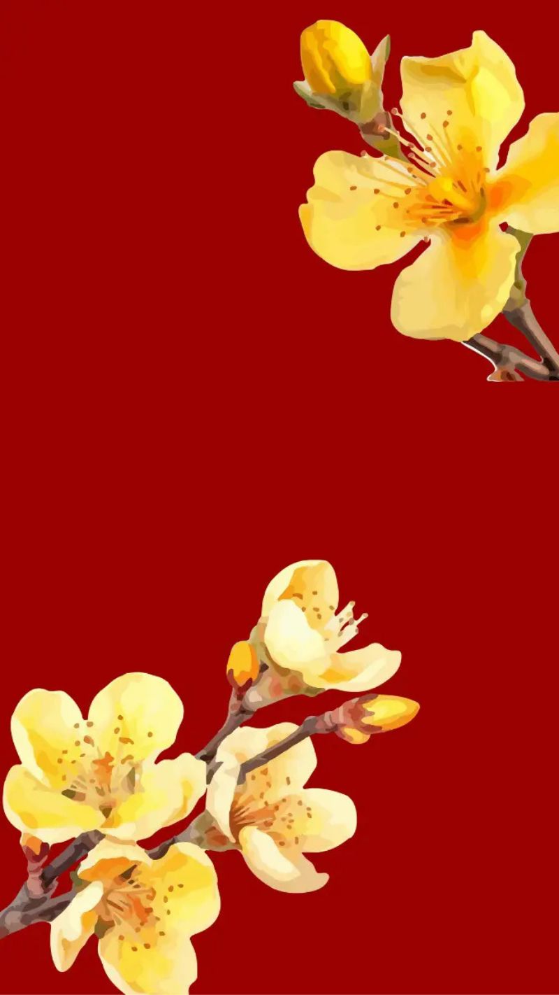 Hình nền Tết 2026 đa phong cách với hoa xuân, pháo hoa, ngựa và chữ Happy New Year rực rỡ, ấn tượng