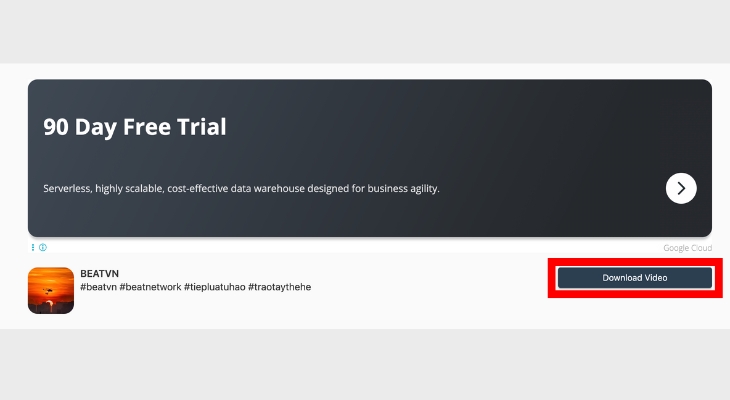 Chọn Download video từ TikMate sau khi xem và bỏ qua quảng cáo