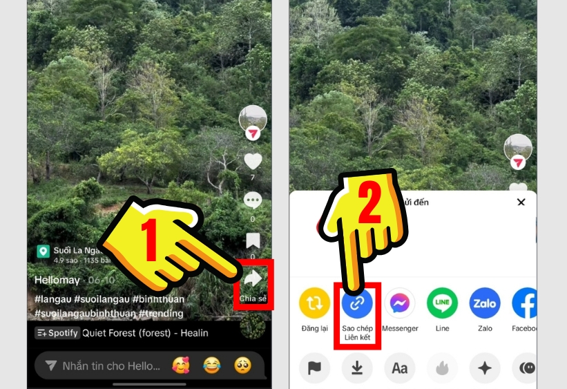 Sao chép liên kết video TikTok