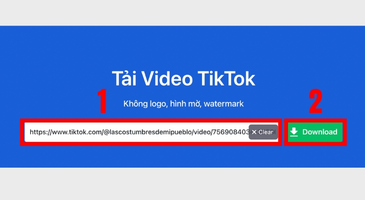 Dán liên kết video TikTok vào website SnapTik.app