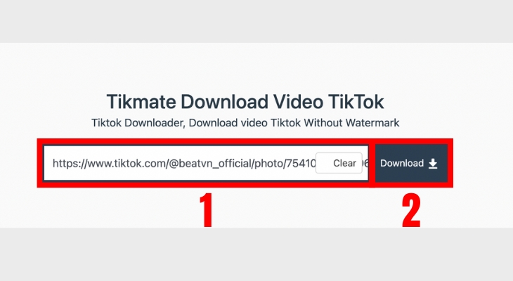 Dán liên kết video TikTok vào website TikMate