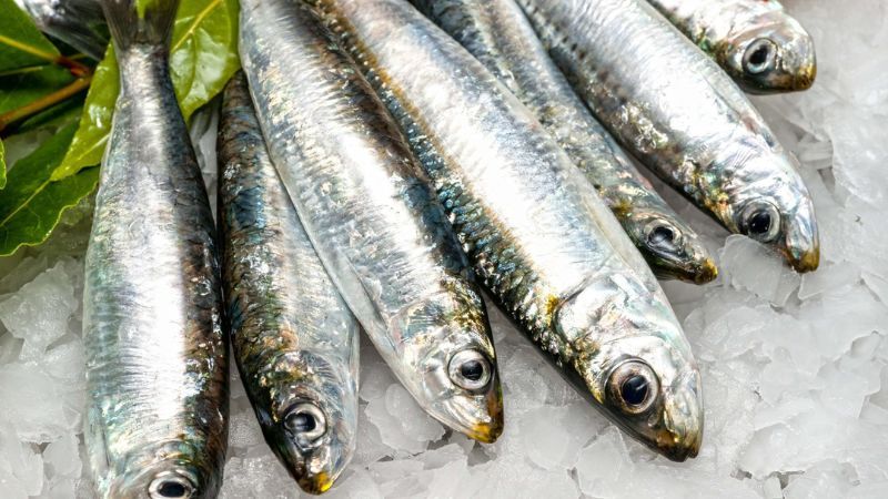 100g cá mòi cung cấp 982mg omega 3