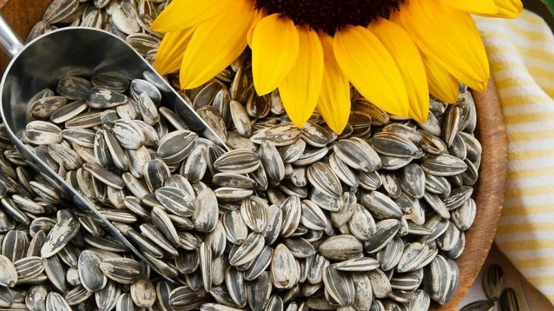 10,6g hạt hướng dương cung cấp 1060mg omega 3
