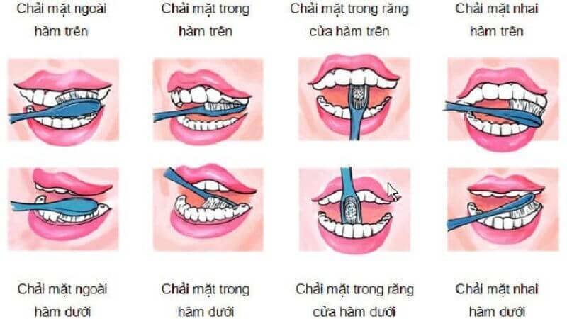 Bạn có thể tham khảo các bước chải răng như trên