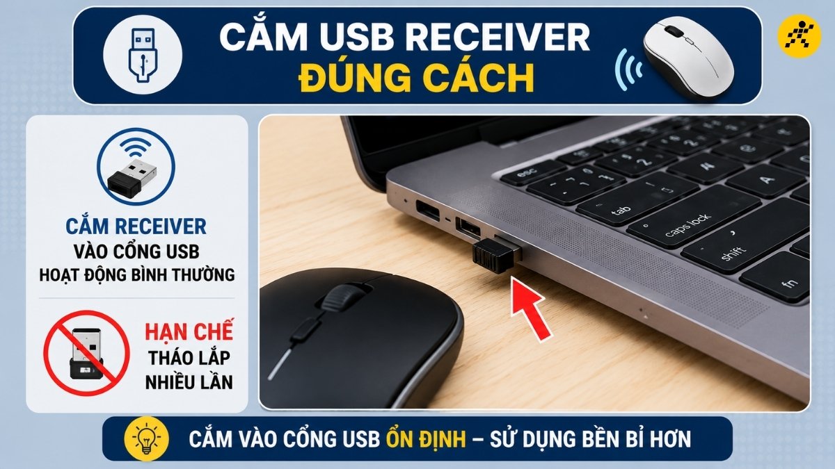 Cắm USB Receiver đúng cách Cắm USB Receiver đúng cách