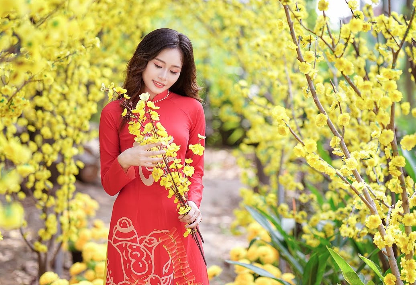 Cô gái vận áo dài đỏ chụp với cành mai