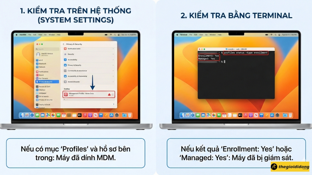 Kiểm tra tr&ecirc;n MacBook 