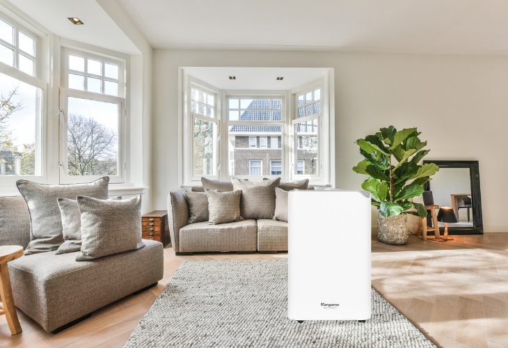 Máy hút ẩm Kangaroo KGDH20 thiết kế nhỏ gọn, hiện đại, hút ẩm mạnh mẽ 