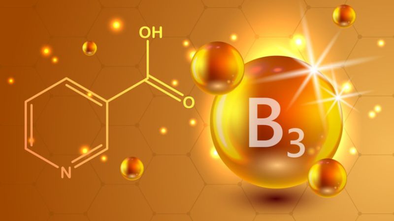 Vitamin B3 là một loại vitamin nhóm B tan trong nước Vitamin B3 là một loại vitamin nhóm B tan trong nước