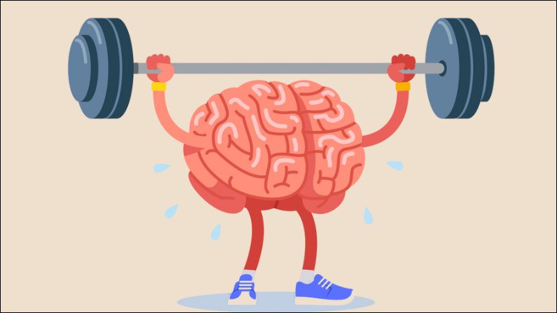 Vitamin B3 có vai trò quan trọng trong việc cung cấp năng lượng cho não Vitamin B3 có vai trò quan trọng trong việc cung cấp năng lượng cho não