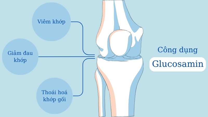 Glucosamin có tác dụng hỗ trợ viêm khớp, giảm đau khớp, thoái hoá khớp Glucosamin có tác dụng hỗ trợ viêm khớp, giảm đau khớp, thoái hoá khớp
