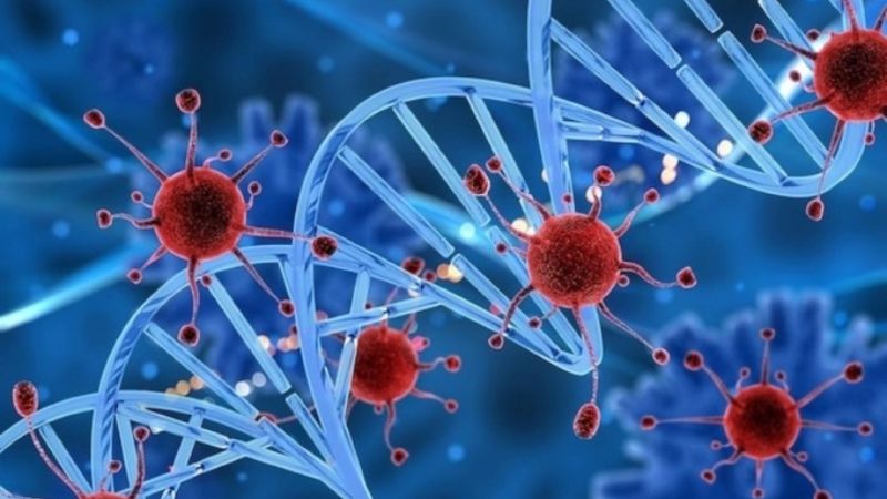 Beta carotene giúp ngăn ngừa các gốc tự do bảo vệ cơ thể chống lại sự phát triển của ung thư Beta carotene giúp ngăn ngừa các gốc tự do bảo vệ cơ thể chống lại sự phát triển của ung thư