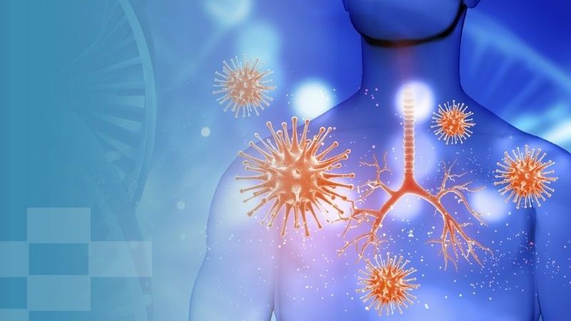 Cung cấp đầy đủ sắt cho cơ thể sẽ giúp hệ thống miễn dịch hoạt động tốt