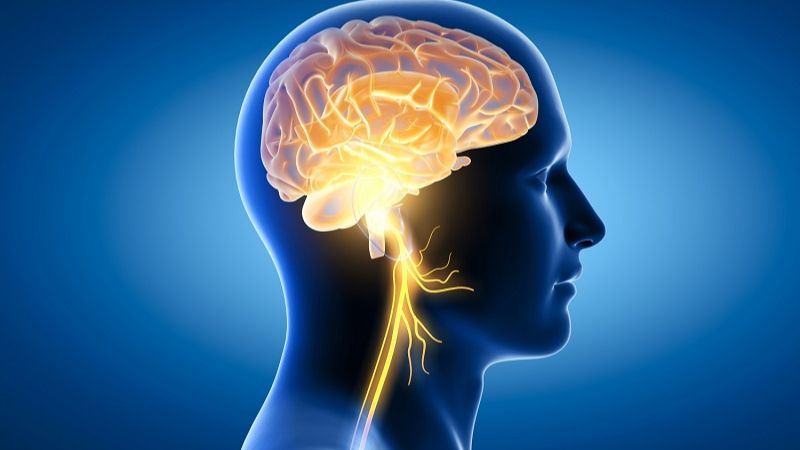 Sắt giúp đảm bảo máu giàu oxy, liên quan trực tiếp đến sức khỏe và các chức năng não