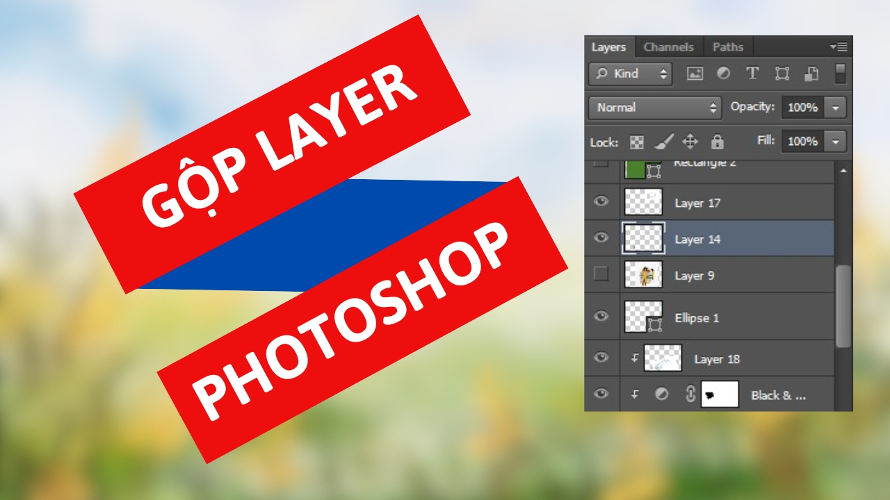 Cách Gộp Layer Trong Photoshop Cách Gộp Layer Trong Photoshop