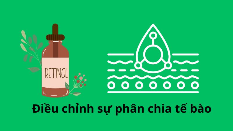 Retinol kích thích tổng hợp collagen