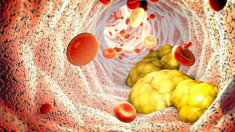 Omega 6 giúp giảm lượng cholesterol có hại (LDL) trong cơ thể