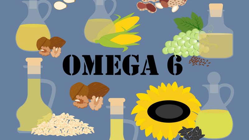 Omega 6 là chất béo thiết yếu mà cơ thể không thể tự tổng hợp ra được