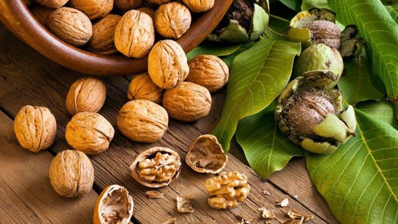 Quả óc chó là một loại hạt nhiều dinh dưỡng, mỗi 100g chứa đến 38.1mg omega 6 